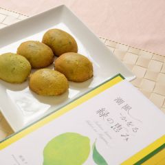 潮風かをる緑の恵み ～湘南グリーンレモンケーキ～10個入